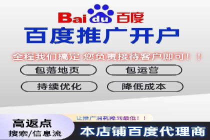 某电商平台的SEM策略与效果展示